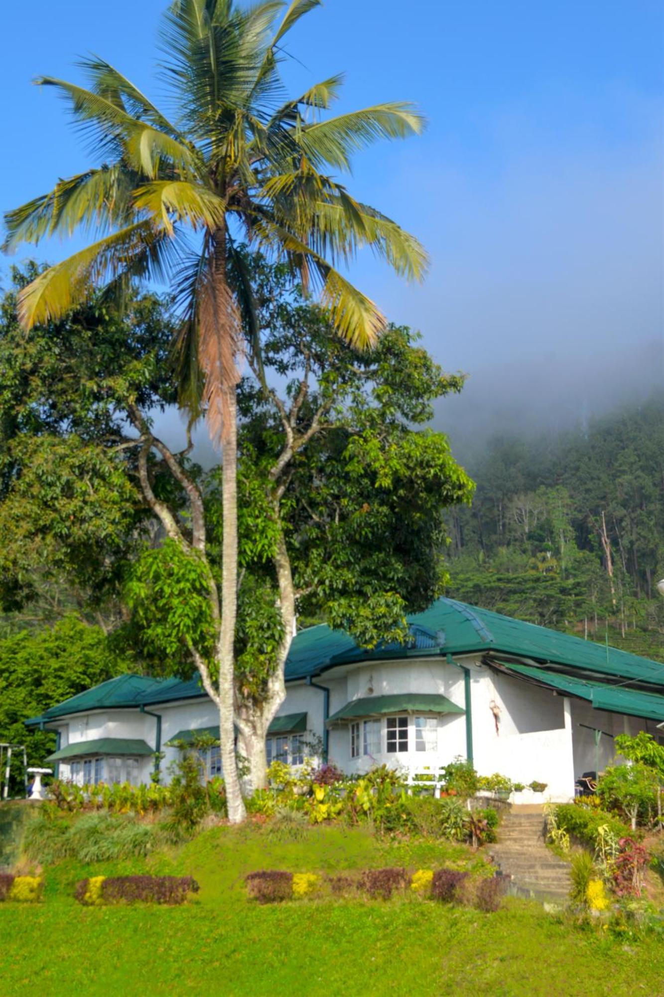 Hatale Tea Estate Bungalow Madulkele Bagian luar foto