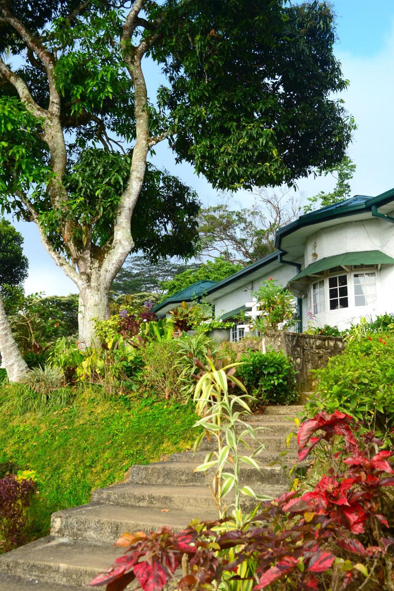 Hatale Tea Estate Bungalow Madulkele Bagian luar foto