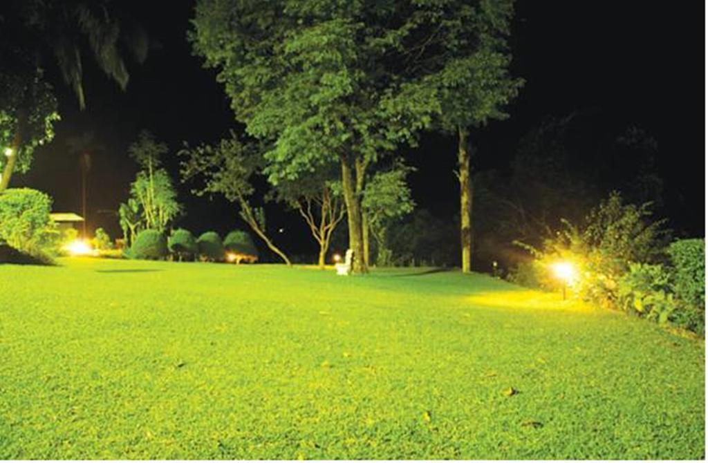 Hatale Tea Estate Bungalow Madulkele Bagian luar foto